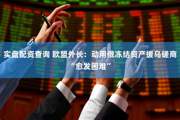 实盘配资查询 欧盟外长：动用俄冻结资产援乌磋商“愈发困难”